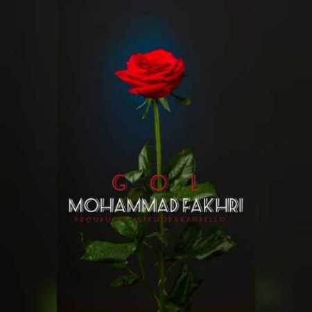 محمد فخری  گل